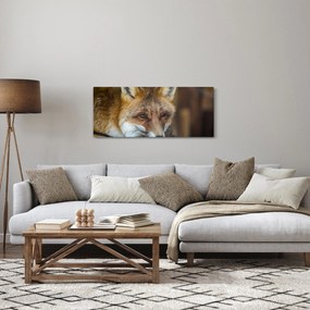Obraz líšky (120x50 cm)