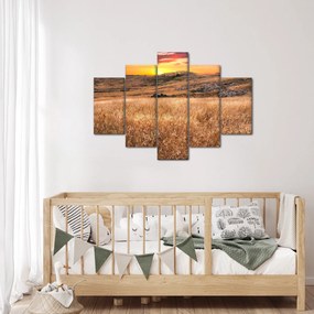 Obraz pole (150x105 cm)