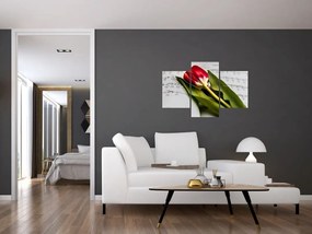 Obraz červeného tulipánu (90x60 cm)
