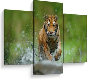 Obraz - Bežiaci tiger (90x60 cm)