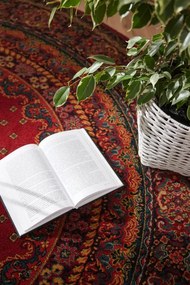 Koberec Dywilan Polonia Baron burgundský 2 kruh