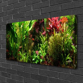 Obraz Canvas Rastlina kvety príroda 120x60 cm