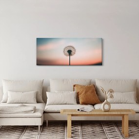 Obraz - Držím ťa, púpava (120x50 cm)