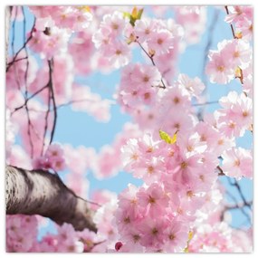 Kvitnúce strom - obraz