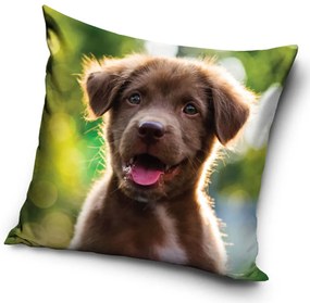 DETSKÁ DEKORAČNÁ OBLIEČKA NA VANKÚŠ DOG 40X40 CM VZOROVANÁ