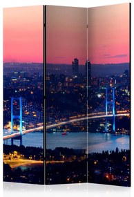 Artgeist Paraván - Bosphorus Bridge [Room Dividers]