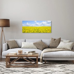 Obraz žltého poľa (120x50 cm)