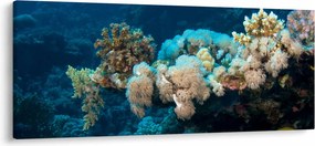 Obraz - V oceáne (120x50 cm)