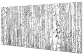 Sklenený obraz Čierna a biela strom les 120x60 cm