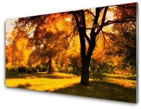 Sklenený obklad Do kuchyne Stromy jeseň príroda 140x70 cm