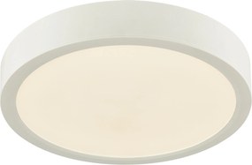 XXXLutz STROPNÉ LED SVIETIDLO, 22,5/3,6 cm Boxxx - Interiérové svietidlá - 008227078102
