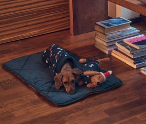 Plyšová hračka pre psy, jazvečík