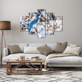 Obraz - Zimný vtáčik (150x105 cm)