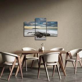 Obraz - Robben Island (90x60 cm)