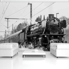 Fototapeta - Parná lokomotíva (254x184 cm)