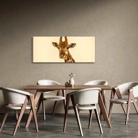 Obraz žirafy (120x50 cm)