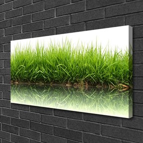 Obraz na plátne Tráva príroda rastlina 120x60 cm