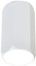 CLX Stropné moderné svietidlo EMILIA-ROMAGNA, 1xGU10, 25W, 12x7, 9cm, biele