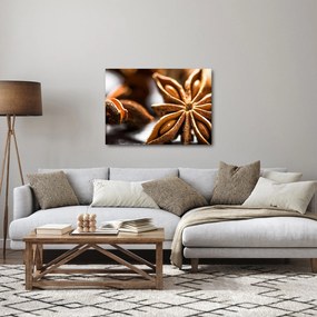 Obraz - Aníz (70x50 cm)