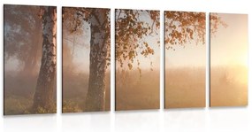 5-dielny obraz hmlistý jesenný les - 200x100