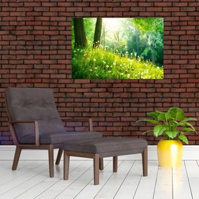 Obraz - Magická lúka plná púpav (90x60 cm)