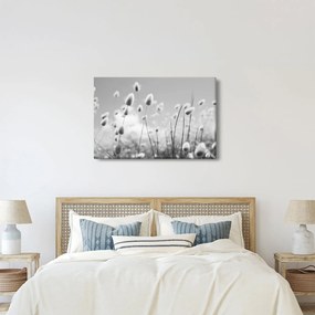Obraz - Boho bunny tail grass (90x60 cm)