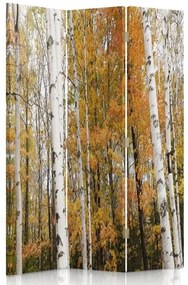 Ozdobný paraván, Březový les na podzim - 110x170 cm, trojdielny, obojstranný paraván 360°
