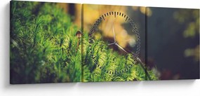 Obraz machu s hubou (s hodinami) (90x30 cm)