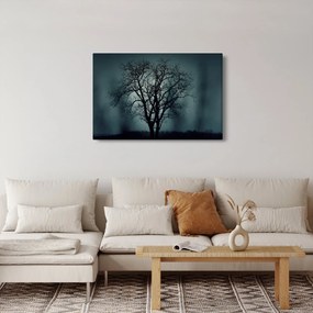 Obraz stromov pri zatmení (90x60 cm)