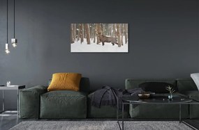 Sklenený obraz Jeleň zimné les 140x70 cm