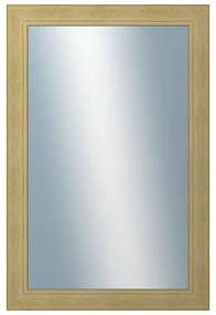 DANTIK - Zrkadlo v rámu, rozmer s rámom 40x60 cm z lišty ANDRÉ veľká starostrieborná (3156)
