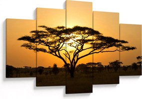 Obraz - Africká savana (150x105 cm)
