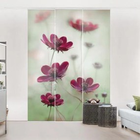 MANUFACTURER -  Súprava posuvnej záclony -Pink Cosmos -3 panely