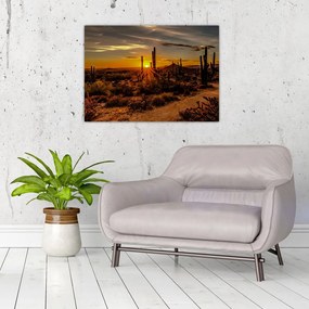 Sklenený obraz - Koniec dňa v arizonskej púšti (70x50 cm)