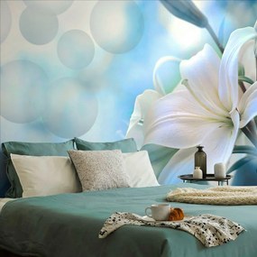 Samolepiaca tapeta kvet ľalie na abstraktnom pozadí