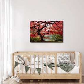 Obraz červeného japonského javora, Portland, Oregon (90x60 cm)