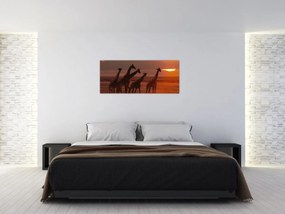 Obraz - Žirafy v africkej savane (120x50 cm)