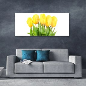 Obraz plexi Tulipány kvety rastlina 125x50 cm
