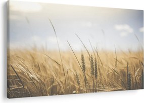 Obraz obilia (90x60 cm)