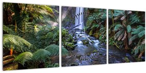 Obraz australského dažďového lesa (s hodinami) (90x30 cm)