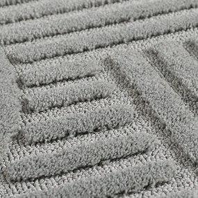 Svetlosivý koberec 160x230 cm Art – Ayyildiz Carpets