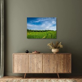 Sklenený obraz lúky (70x50 cm)