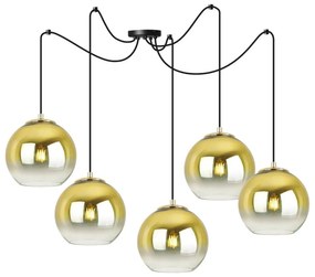Závesné svietidlo Bergen Gold Spider, 5x zlaté/transparentné sklenené tienidlo (fi 15cm)