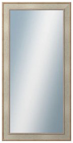 DANTIK - Zrkadlo v rámu, rozmer s rámom 60x120 cm z lišty TOOTH strieborná (2779)
