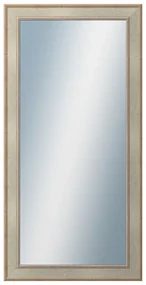 DANTIK - Zrkadlo v rámu, rozmer s rámom 60x120 cm z lišty TOOTH strieborná (2779)