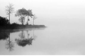 Plátno maľba By the Lake I