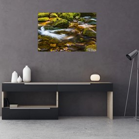 Obraz potôčiku (90x60 cm)