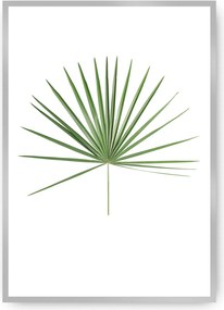 Plagát Tropical Leaf Green