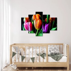 Obraz tulipánov na čiernom pozadí (150x105 cm)