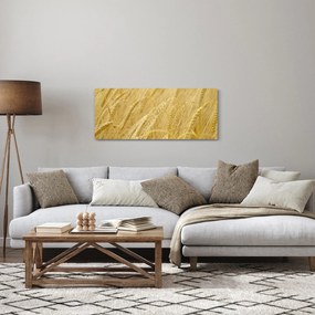 Obraz - Jačmeň (120x50 cm)